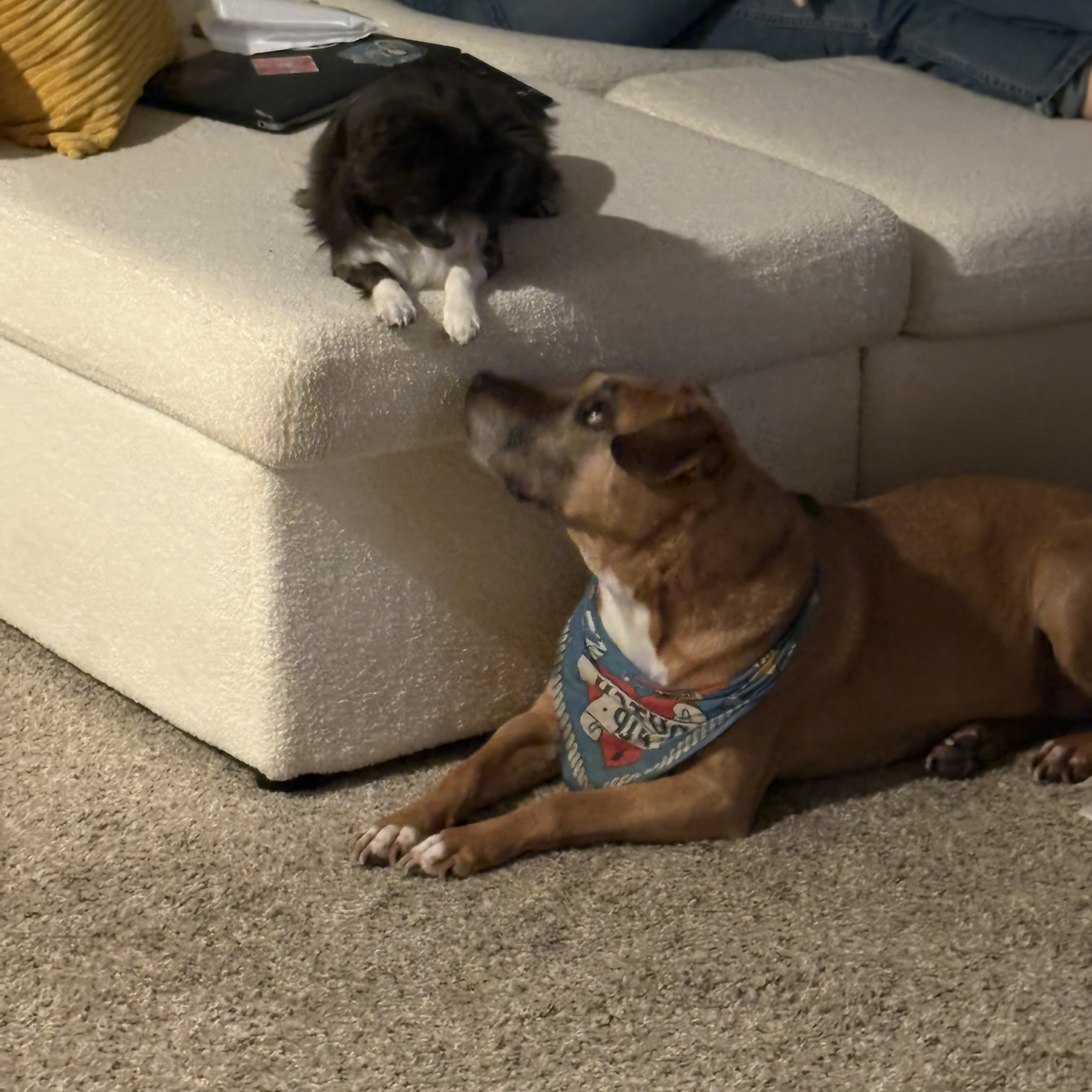 Personal photo IMG 2101