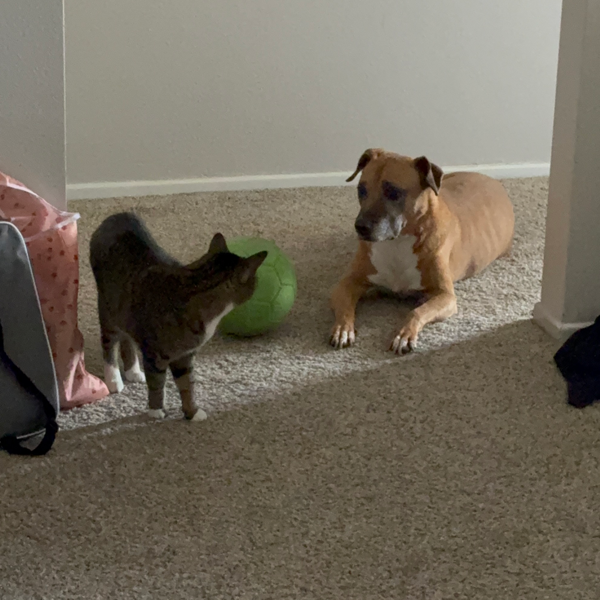 Personal photo IMG 2670