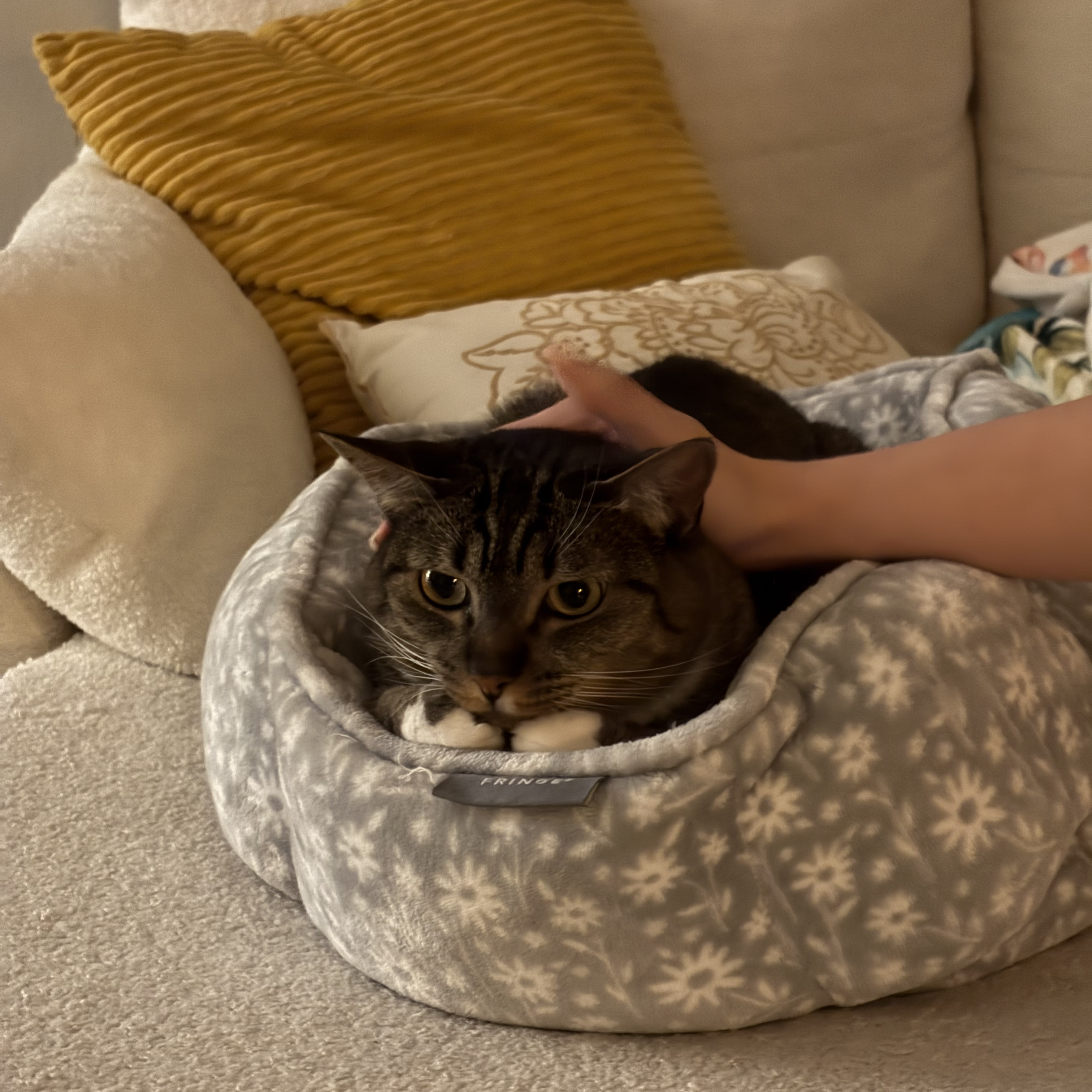 Personal photo IMG 3533