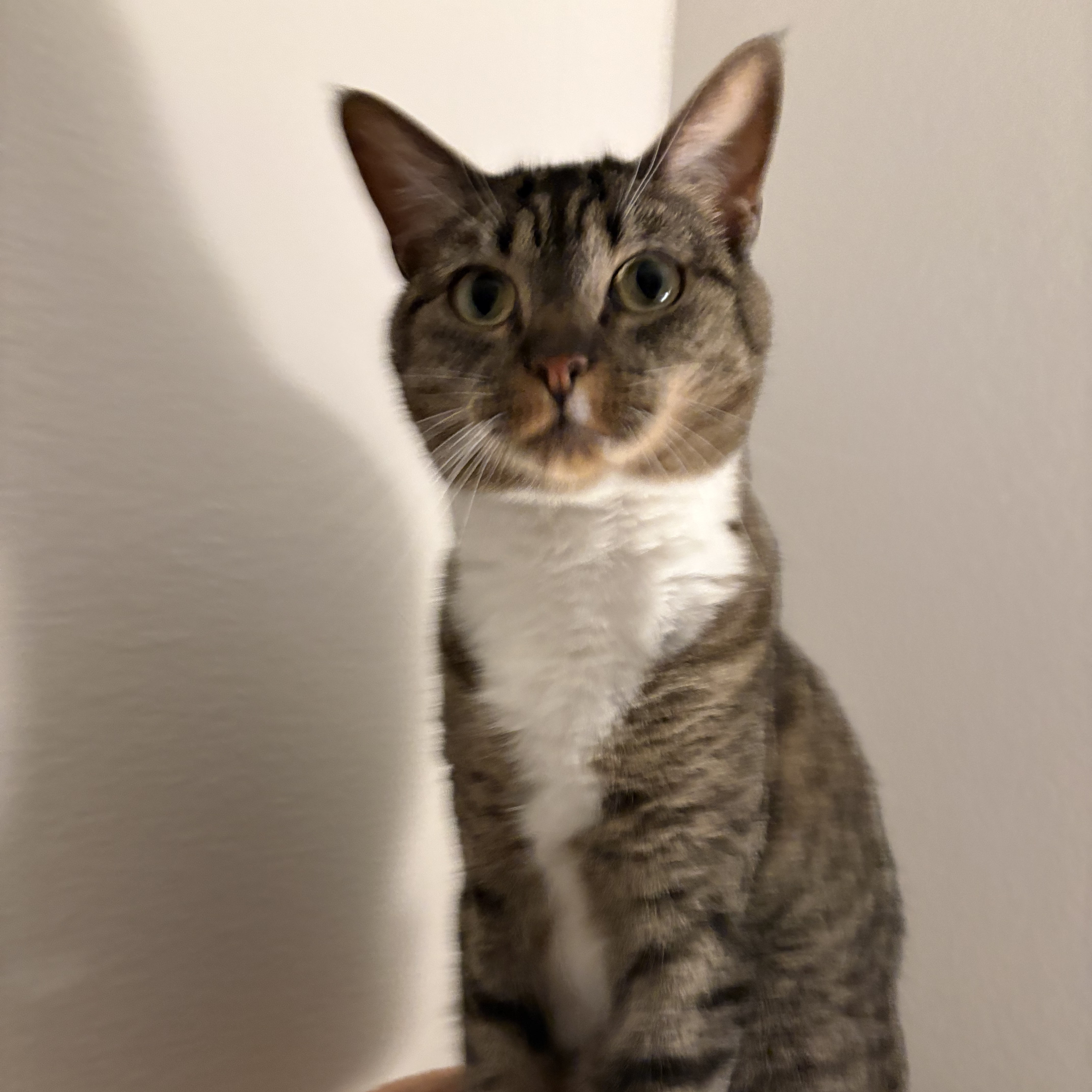 Personal photo IMG 3703