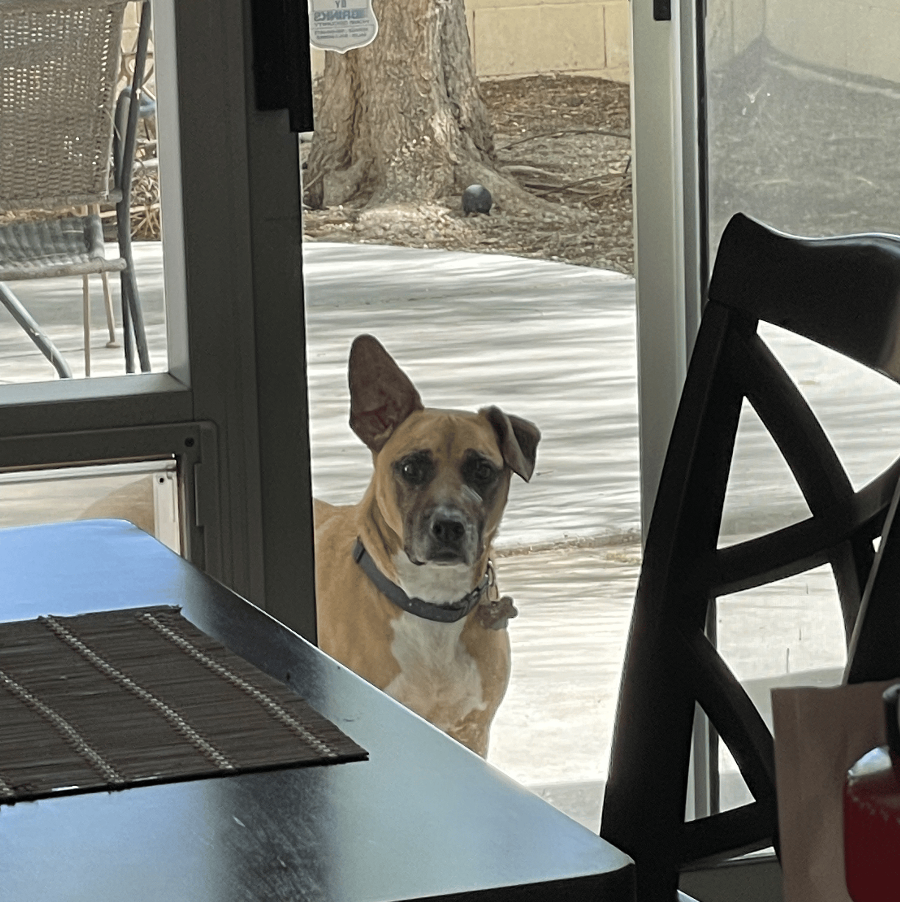 Personal photo IMG 4058